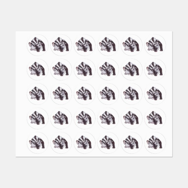 BADGER (Sheet)