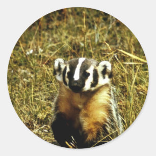 Badger Classic Round Sticker