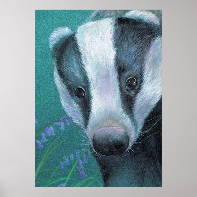 Badger in the bluebell woods art poster (Front)