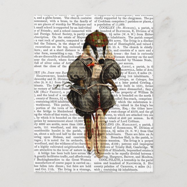 Badger on Vintage Bicycle Postcard (Front)