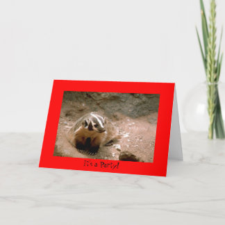 Badger Party Invitation