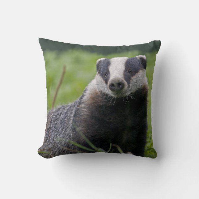 Badger Pillow (Front)