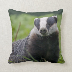Badger Pillow