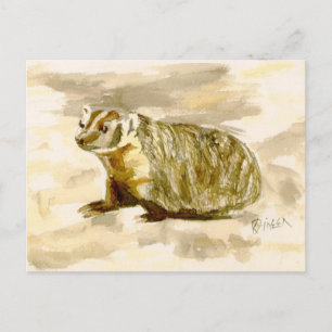 Badger Postcard