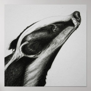 Badger Print