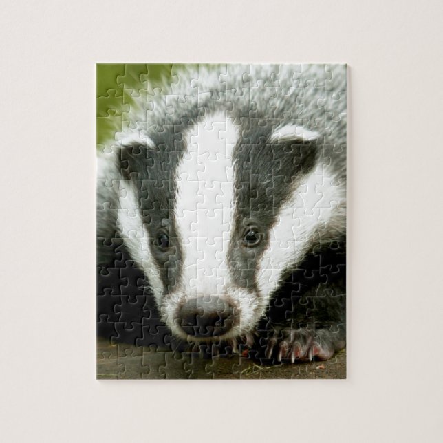 Badger - Stunning pro photo! Jigsaw Puzzle (Vertical)
