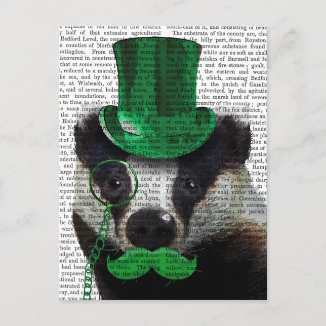 Badger with Green Top Hat and Moustache Postcard (Front)