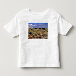 Badlands at Dinosaur Provincial Park in Alberta, 2 Toddler T-Shirt