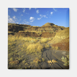 Badlands at Dinosaur Provincial Park in Alberta, Magnet