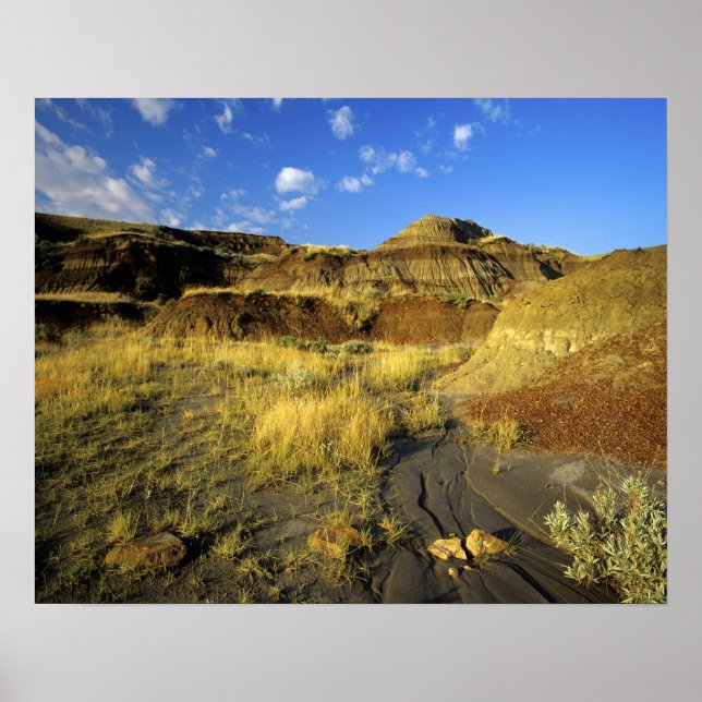 Badlands at Dinosaur Provincial Park in Alberta, Poster (Front)