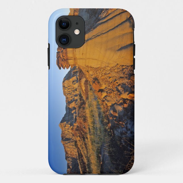 Badlands formations at Dinosaur Provincial Park 3 Case-Mate iPhone Case (Back)