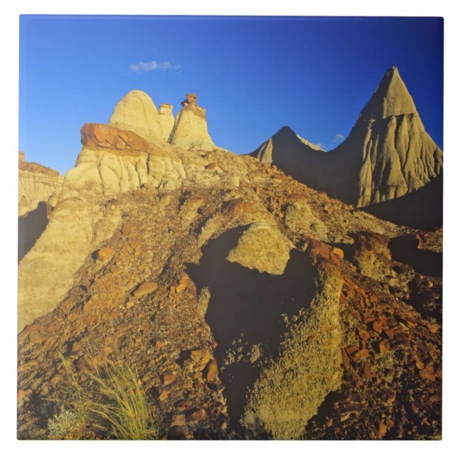 Badlands formations at Dinosaur Provincial Park 6 Tile (Front)