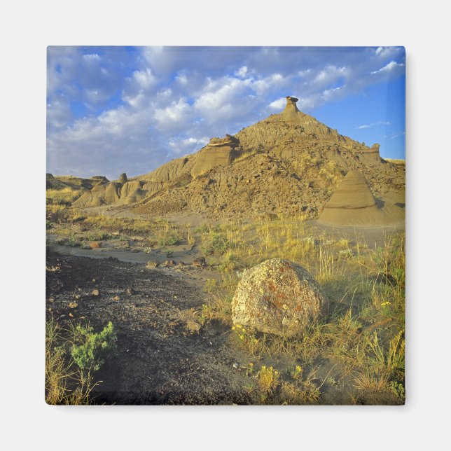 Badlands formations at Dinosaur Provincial Park Magnet (Front)