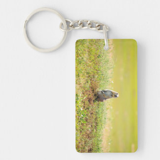 Badlands of North Dakota Keychain