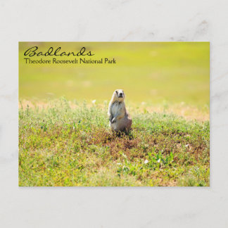 Badlands of North Dakota Postcard