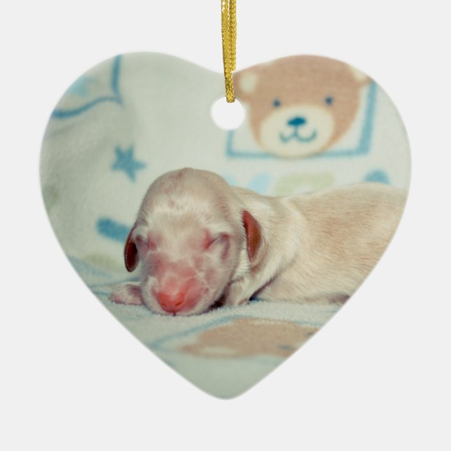 Bae Newborn-Lovebugdoxies puppy keepsake Ceramic Tree Decoration (Front)