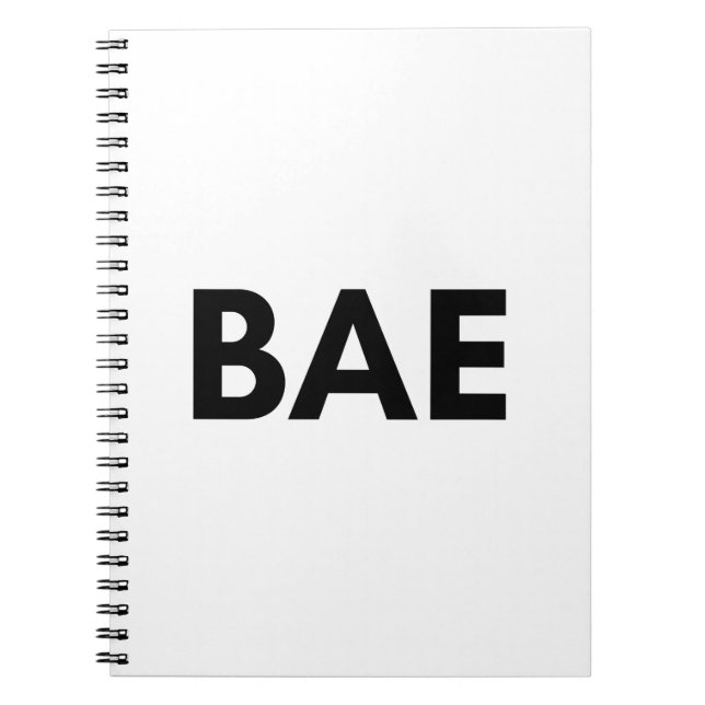 bae notebook (Front)