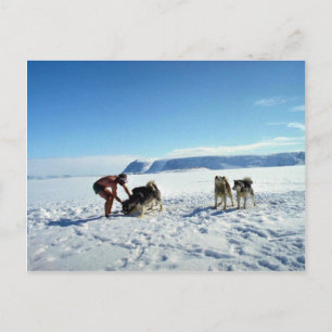 Baffin Island, Northwest Territories Postcard
