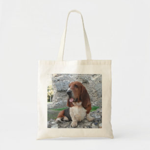 Bag With Basset Hound Castle Ruin Visit