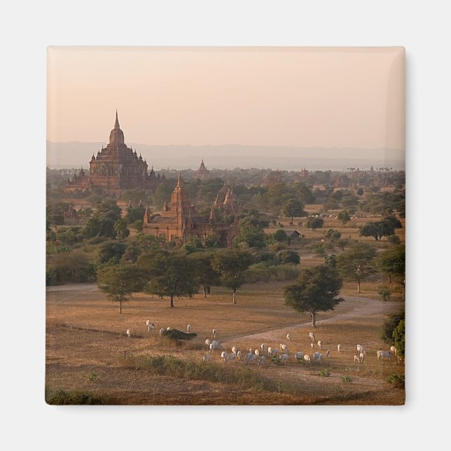 Bagan at Dusk Magnet (Front)