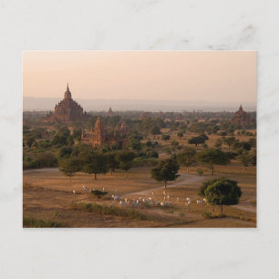 Bagan at Dusk Postcard