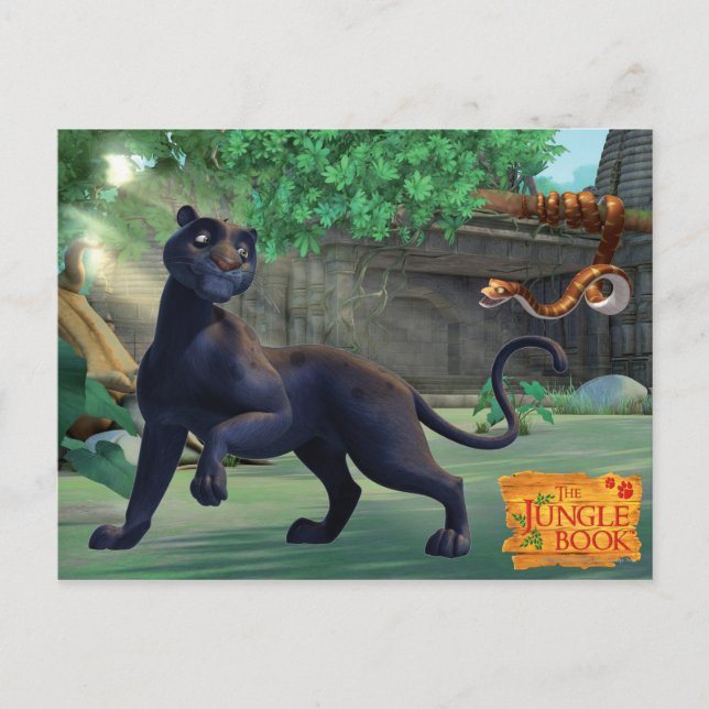 Bagheera 3 postcard (Front)