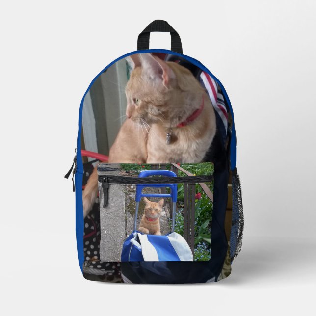 Bagpack kids back to school printed backpack (Front)