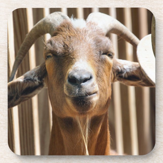 Bah Coaster (Front)