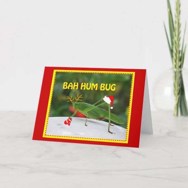 Bah Hum Bug Holiday Card (Front)