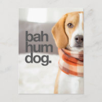 "Bah Hum Dog" Beagle