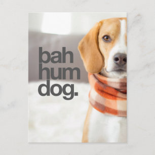 "Bah Hum Dog" Beagle Postcard