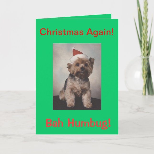 Bah Humbug  doggie tshirt Holiday Card (Front)