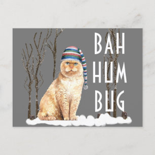 Bah Humbug Funny Cat Christmas Postcard