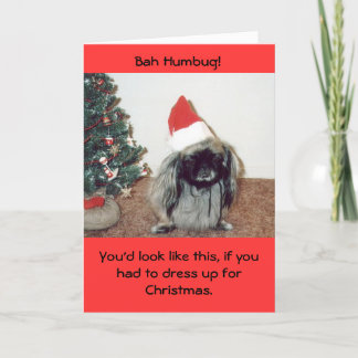 Bah Humbug! Holiday Card
