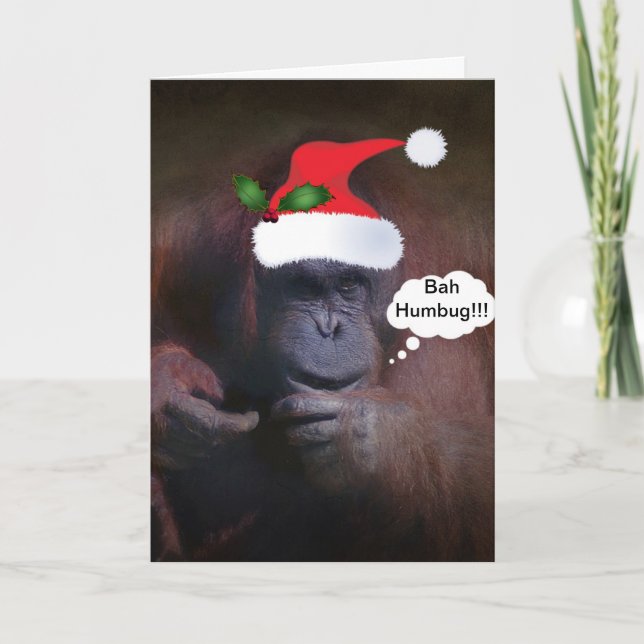 BAH HUMBUG!!!WITH A HOLLY SPRIG CHRISTMAS CARD (Front)