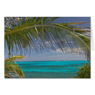 BAHAMAS, Abacos, Loyalist Cays, Man O'War Cay: