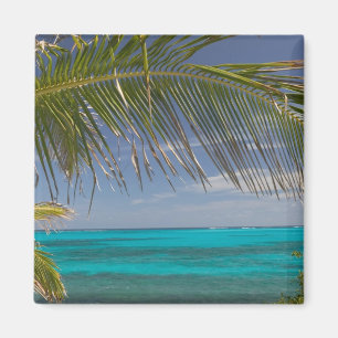 BAHAMAS, Abacos, Loyalist Cays, Man O'War Cay: Magnet
