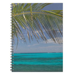 BAHAMAS, Abacos, Loyalist Cays, Man O'War Cay: Notebook