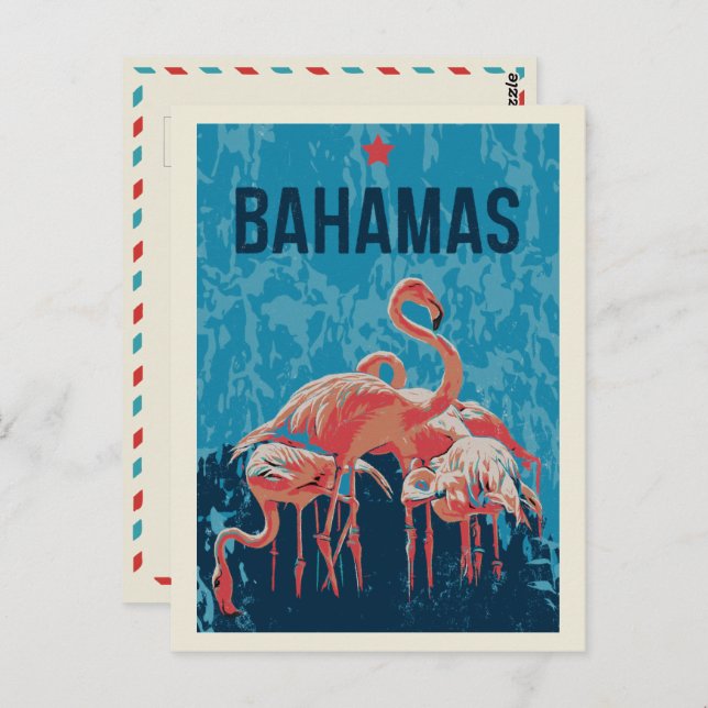 Bahamas Caribbean Pink Flamingos Postcard (Front/Back)