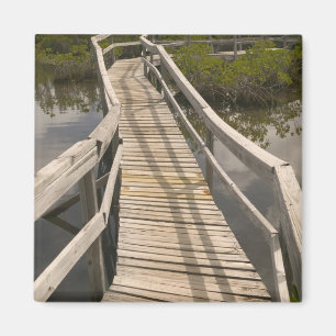 BAHAMAS, Grand Bahama Island, Eastern Side: Magnet