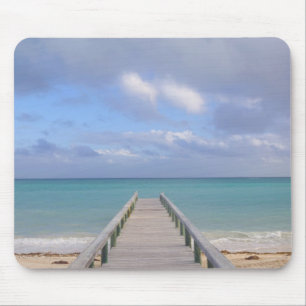 BAHAMAS, Grand Bahama Island, Eastern Side: Mouse Pad