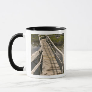 BAHAMAS, Grand Bahama Island, Eastern Side: Mug