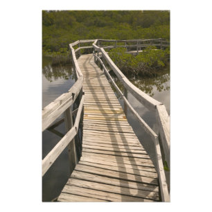 BAHAMAS, Grand Bahama Island, Eastern Side: Photo Print