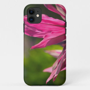 BAHAMAS, New Providence Island, Nassau: Paradise iPhone 11 Case