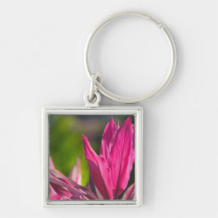 BAHAMAS, New Providence Island, Nassau: Paradise Key Ring