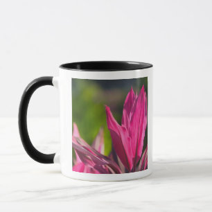 BAHAMAS, New Providence Island, Nassau: Paradise Mug