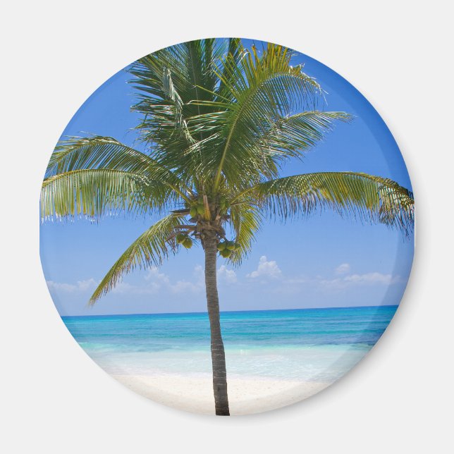 Bahamas Palm Magnet (Front)