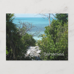 Bahamas Postcard