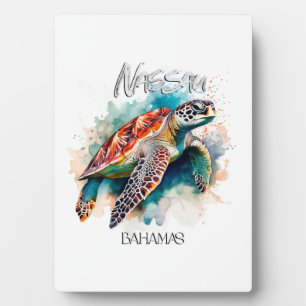 Bahamas Seat Turtle Bahamian Flag Beach Great Shar Plaque