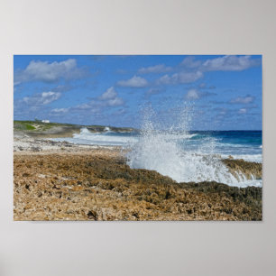 Bahamas Splash, Great Abaco Island, The Bahamas Poster
